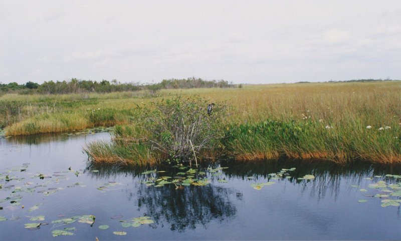 001-Everglades National Park, Florida.jpg